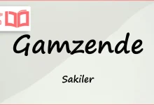 متن و ترجمه آهنگ Gamzende از Sakiler