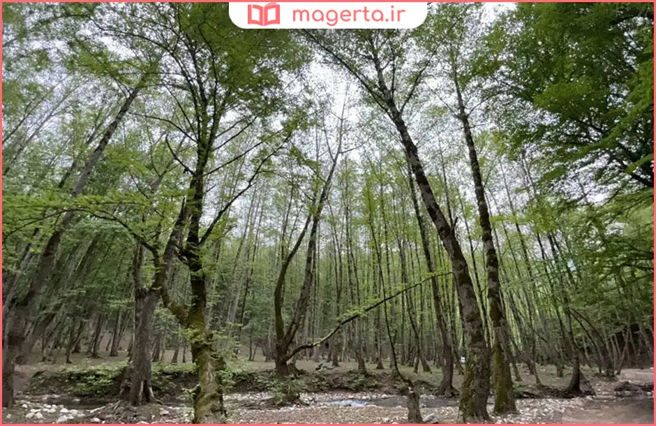 طبیعت پادنای دودانگه