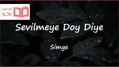 متن و ترجمه آهنگ Sevilmeye Doy Diye از Simge