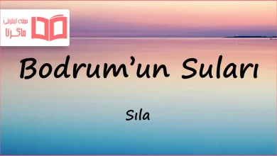 متن و ترجمه آهنگ Bodrum’un Suları از Sıla
