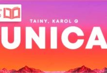 متن و ترجمه آهنگ Única از Tainy و KAROL G