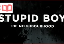 متن و ترجمه آهنگ Stupid Boy از The Neighbourhood