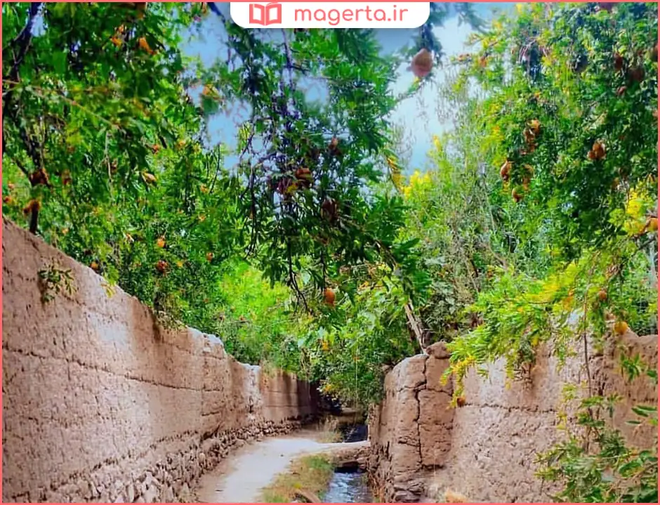 روستای نصرآباد