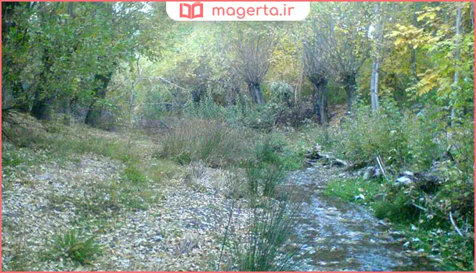 روستای علی آباد