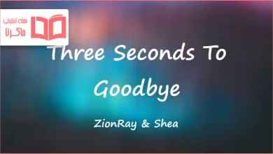 متن و ترجمه آهنگ Three Seconds To Goodbye از ZionRay و Shea