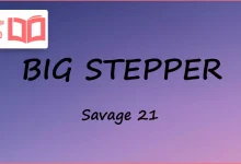 متن و ترجمه آهنگ BIG STEPPER از 21 Savage