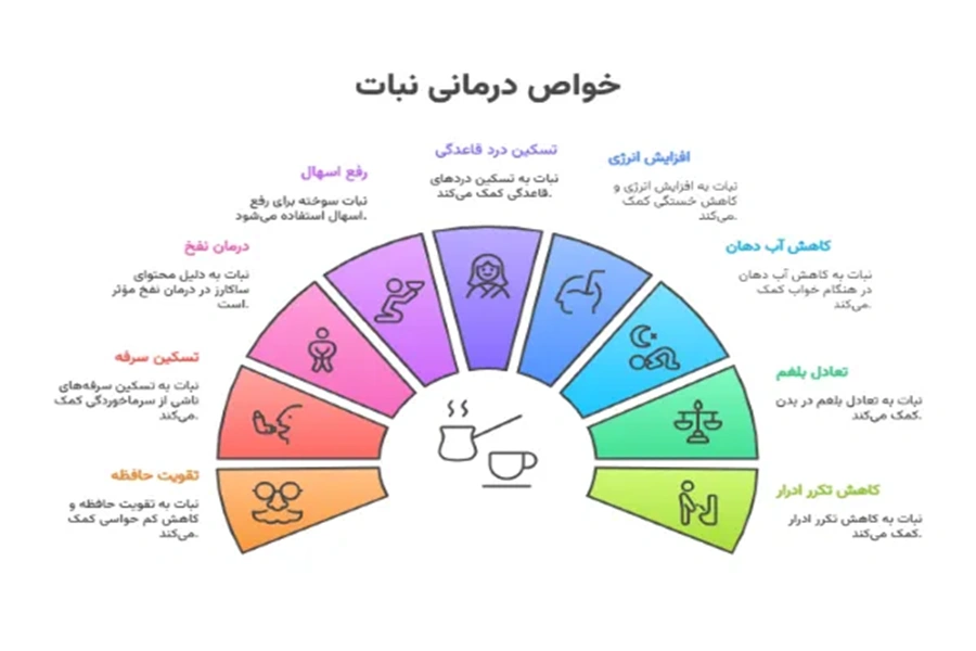خواص نبات چیست