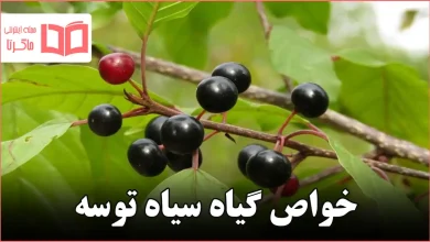 خواص گیاه سیاه توسه