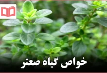 خواص گیاه صعتر
