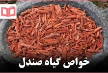 خواص گیاه صندل