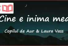 متن و ترجمه آهنگ Cine e inima mea از Copilul de Aur و Laura Vass