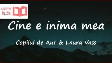 متن و ترجمه آهنگ Cine e inima mea از Copilul de Aur و Laura Vass