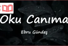 متن و ترجمه آهنگ Oku Canıma از Ebru Gündeş