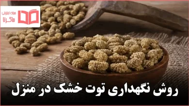 روش نگهداری توت خشک در منزل