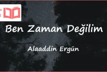متن و ترجمه آهنگ Ben Zaman Değilim از Alaaddin Ergün