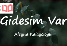 متن و ترجمه آهنگ Gidesim Var از Aleyna Kalaycıoğlu