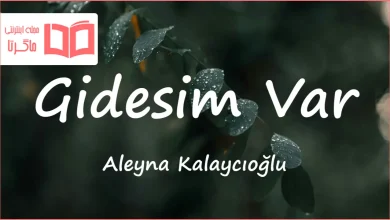 متن و ترجمه آهنگ Gidesim Var از Aleyna Kalaycıoğlu