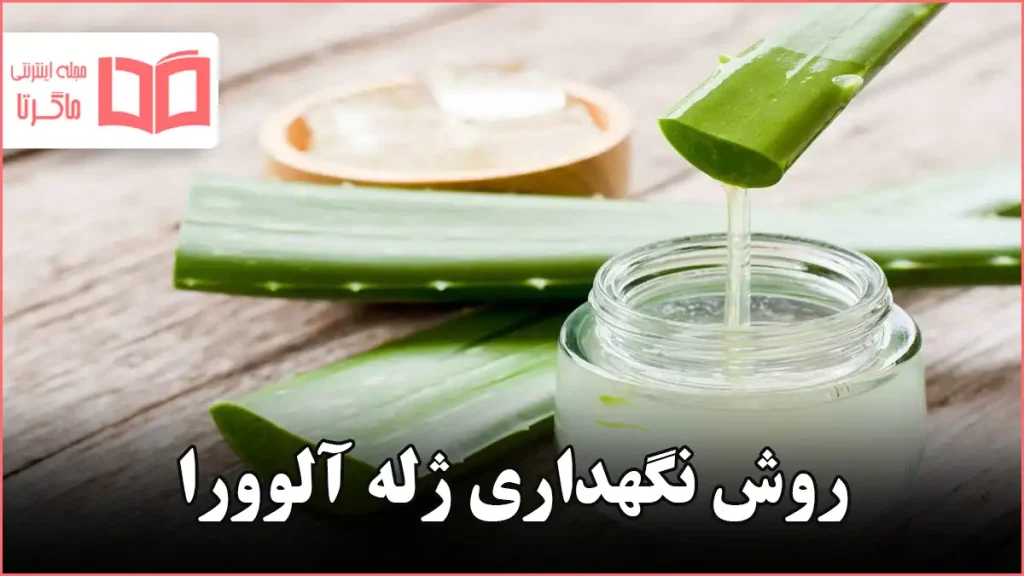 روش نگهداری ژله آلوورا