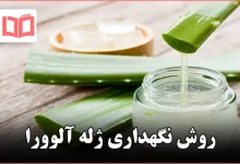 روش نگهداری ژله آلوورا