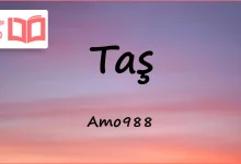 متن و ترجمه آهنگ Taş از Amo988