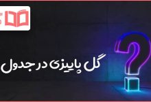 گل پاییزی در جدول