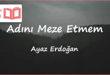 متن و ترجمه آهنگ Adını Meze Etmem از Ayaz Erdoğan
