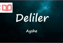متن و ترجمه آهنگ Deliler از Ayshe
