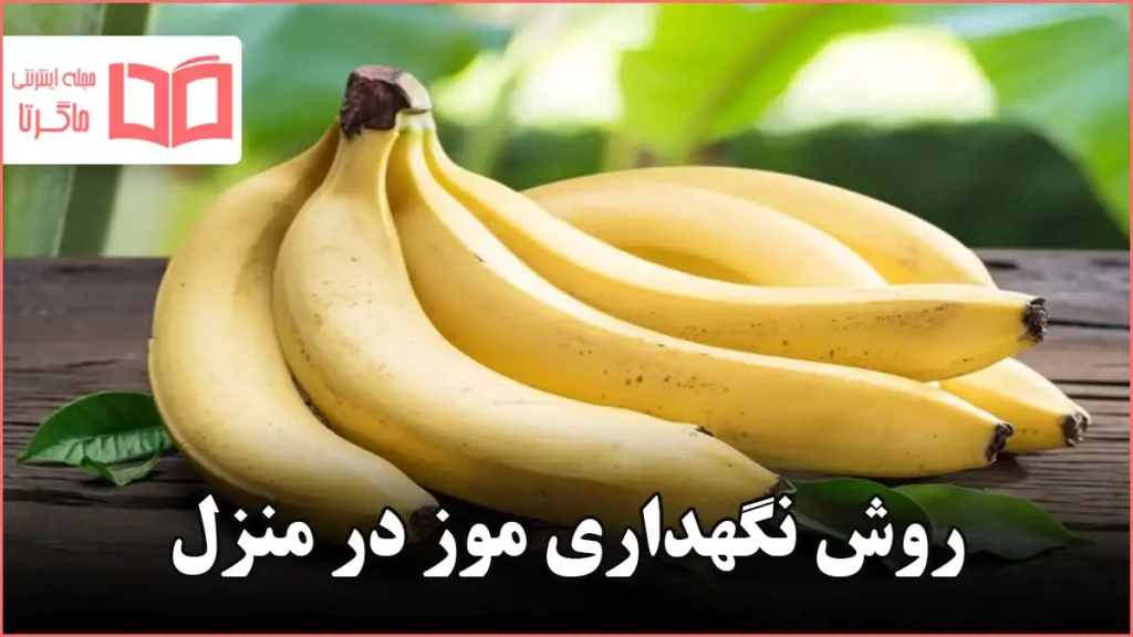 روش نگهداری موز در منزل