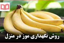 روش نگهداری موز در منزل