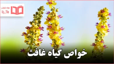 خواص گیاه غافث