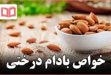 خواص بادام درختی