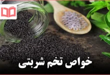 خواص تخم شربتی