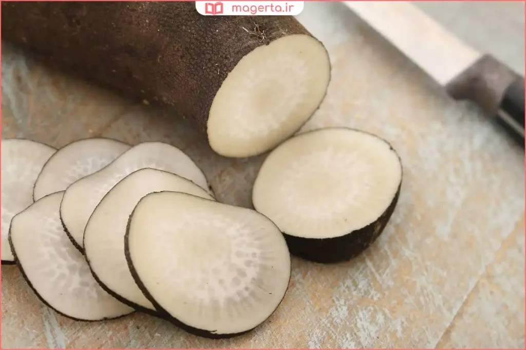 برش عرضی ترب سیاه و نمایش بافت داخلی سفیدرنگ