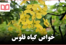 خواص گیاه فلوس