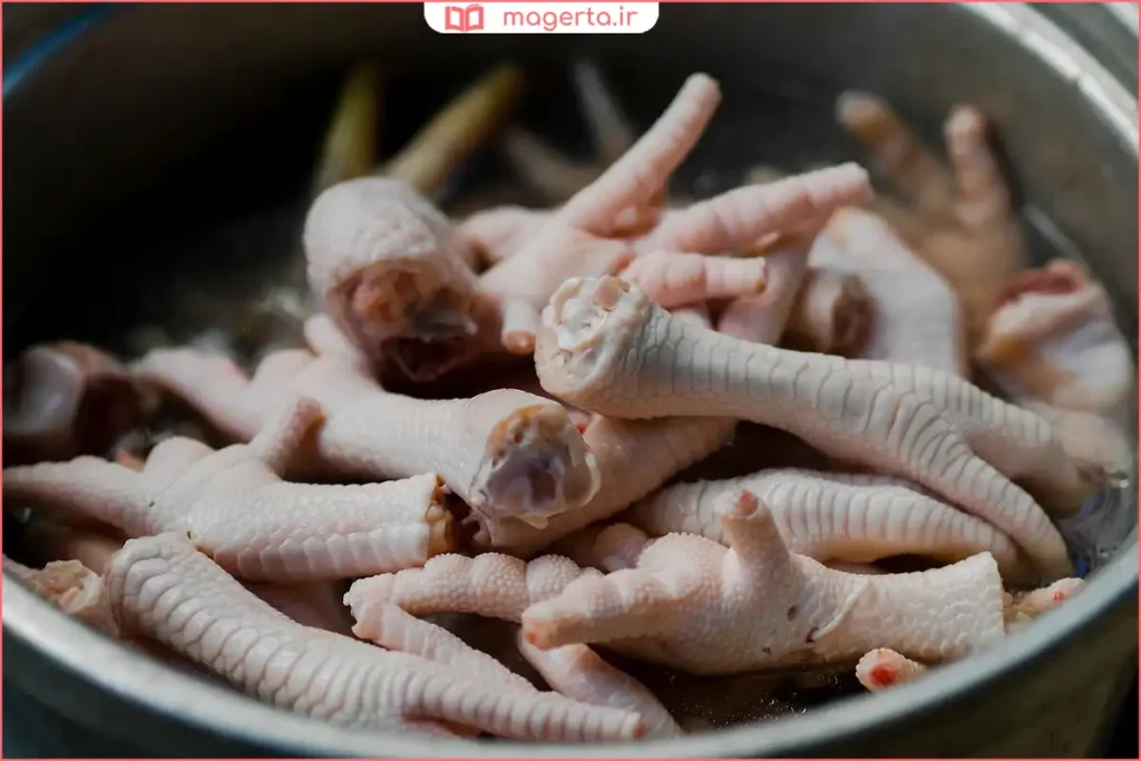 پای مرغ تازه و تمیز شده آماده استفاده در آشپزی