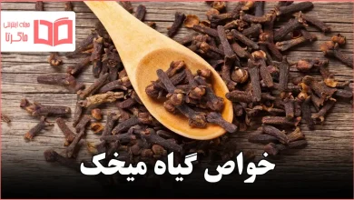 خواص گیاه میخک