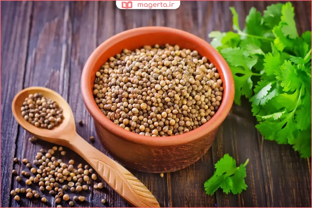 دانههای تخم گشنیز خشکشده با رنگ قهوهای روشن