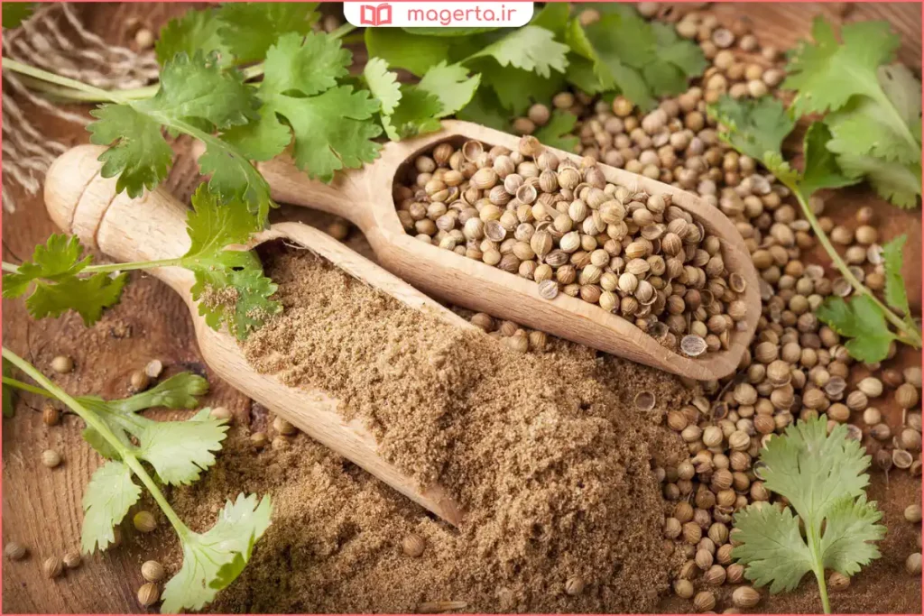 استفاده از تخم گشنیز به عنوان ادویه در آشپزی