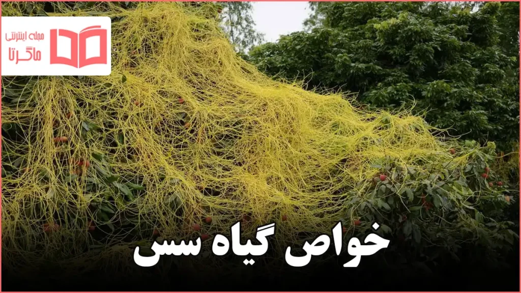 خواص گیاه سِس