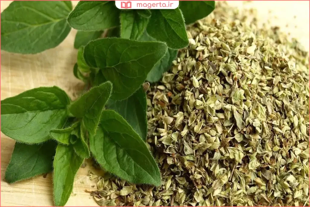 پونه خشک تازه و تمیز روی سطح چوبی آشپزخانه