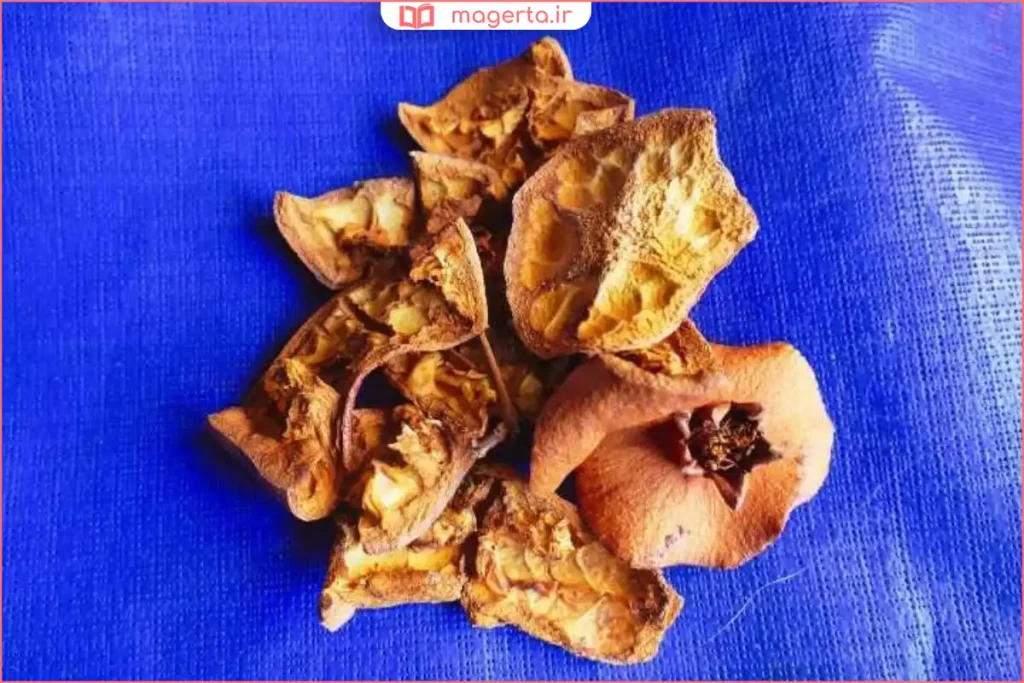 نمای نزدیک از بافت پوست انار خشک شده پس از خشک‌سازی