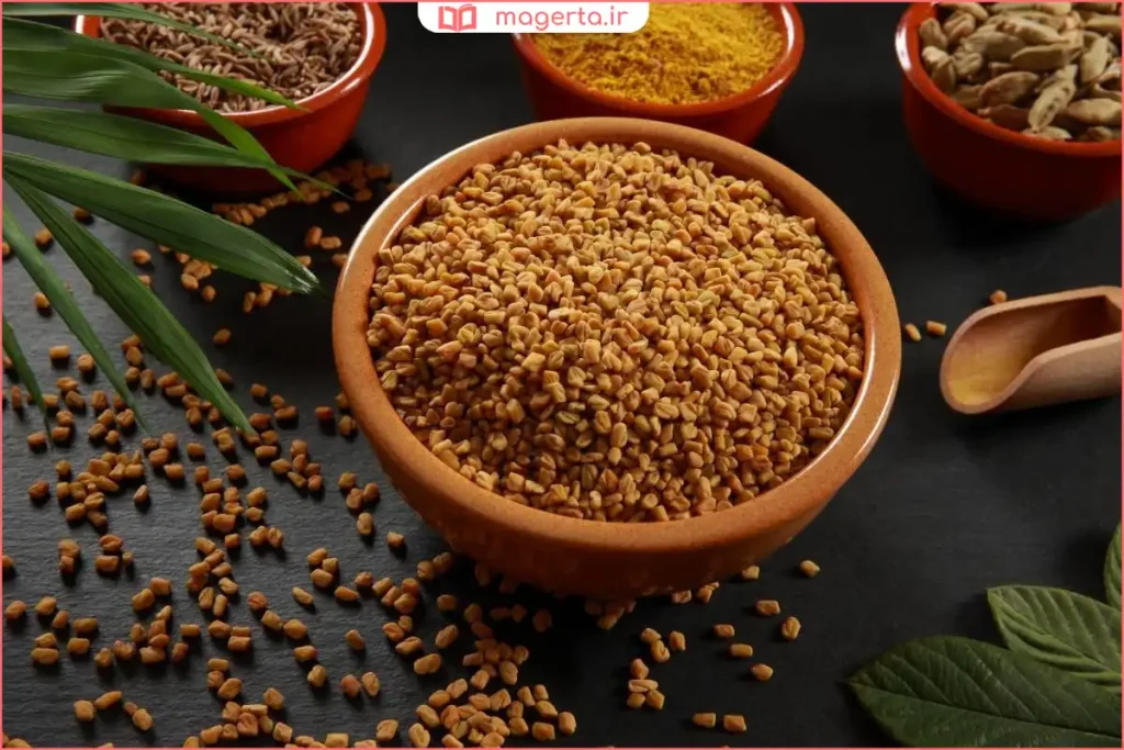 دانه‌های تخم شنبلیله خشک‌شده با رنگ زرد مایل به قهوه‌ای