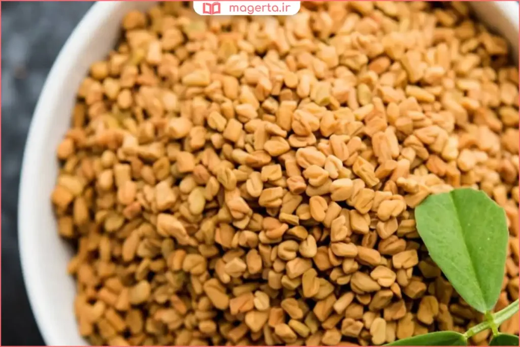 نمای نزدیک از تخم شنبلیله سالم و تمیز