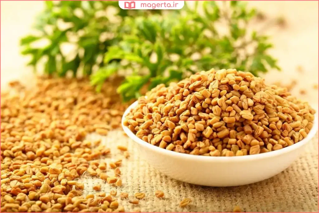 مقایسه اندازه و بافت تخم شنبلیله روی سطح روشن