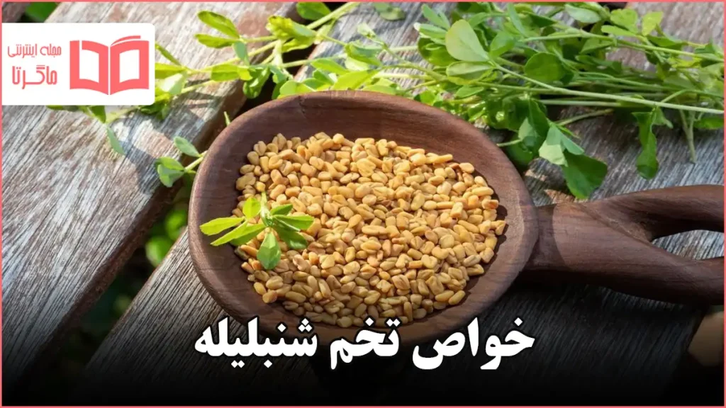 خواص تخم شنبلیله