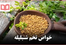 خواص تخم شنبلیله