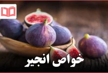 خواص انجیر