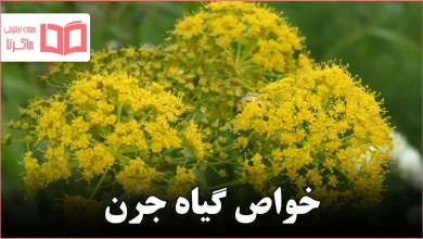 خواص گیاه جرن