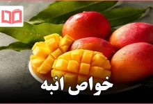خواص انبه