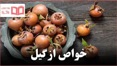 خواص ازگیل